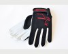 Gants
